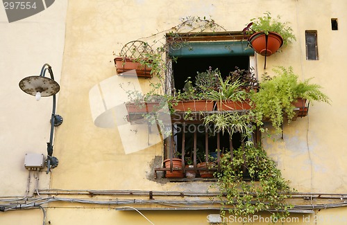 Image of Balcony Lucca - Tuscany