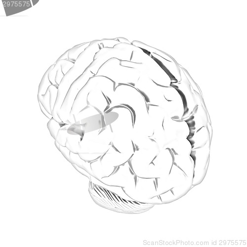 Image of Metall human brain