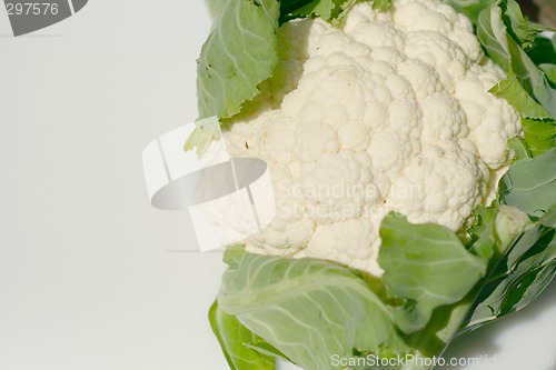 Image of cauliflower