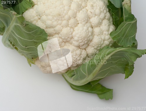 Image of cauliflower