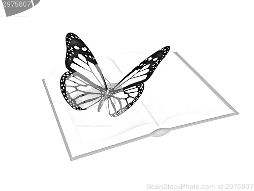 Image of butterfly on a book