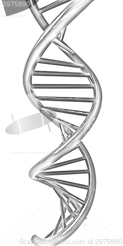Image of DNA structure model
