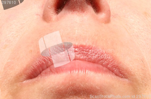 Image of lips and facial hair