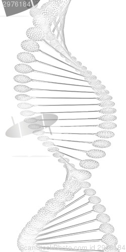 Image of DNA structure model 