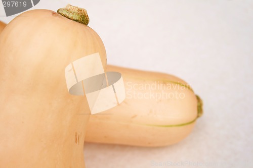 Image of butternut squash