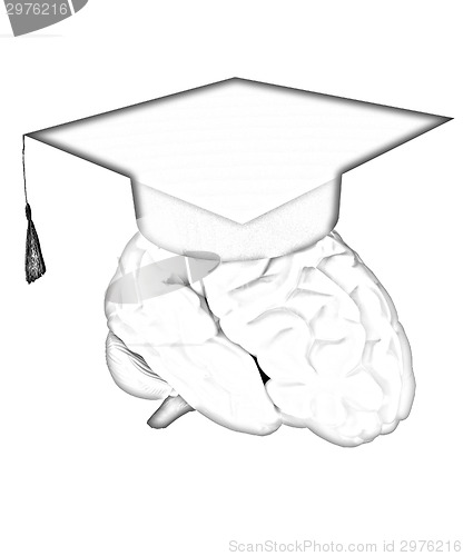 Image of graduation hat on brain