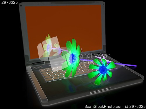 Image of cosmos flower on laptop