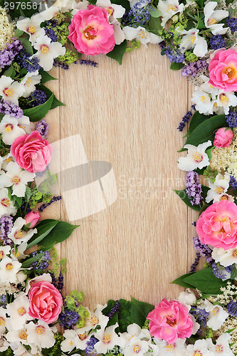 Image of Summer Flower Border