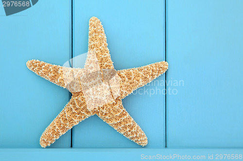 Image of Starfish