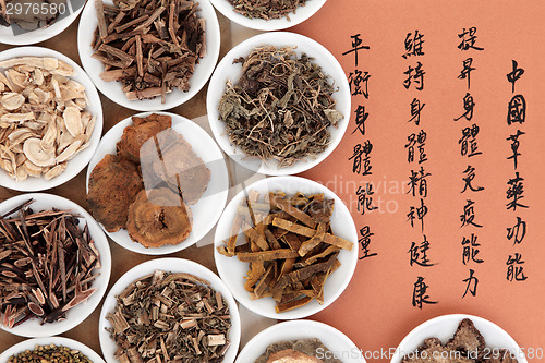 Image of Chinese Herbal Medicine