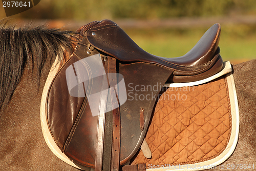 Image of horse saddle