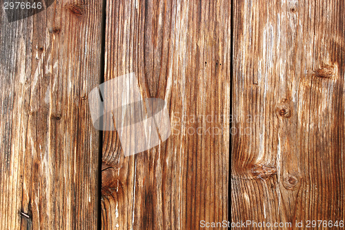 Image of old spruce planks texture
