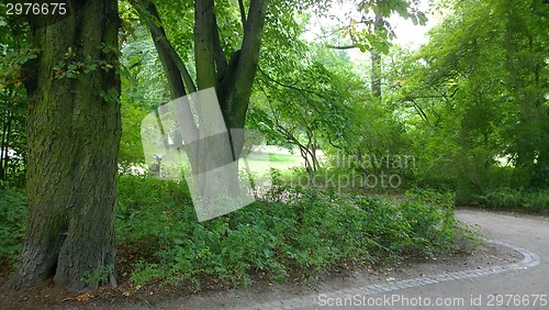 Image of Footpath in park