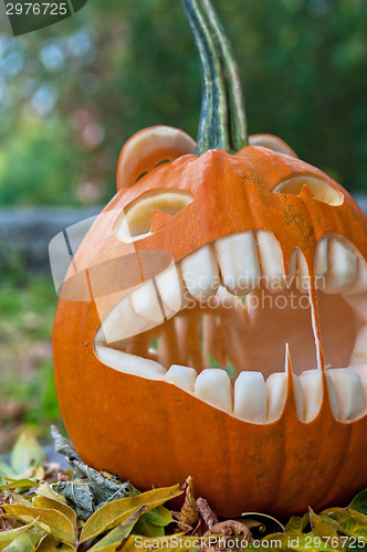 Image of Halloween pumpkin