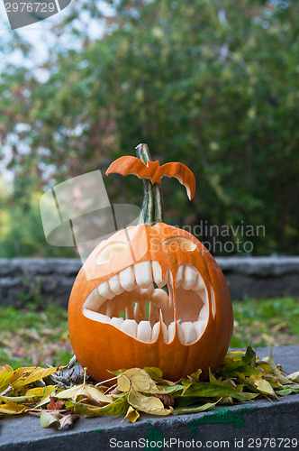 Image of Halloween pumpkin