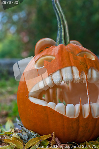 Image of Halloween pumpkin