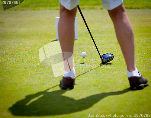 Image of golfer