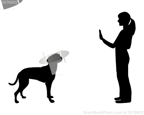 Image of Dog training (obedience): command stop