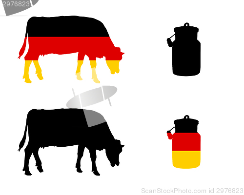 Image of German milk cow