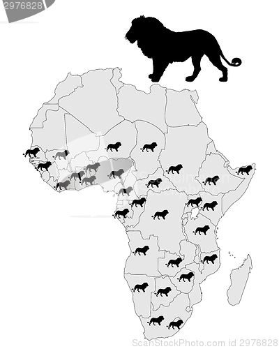 Image of Distribution lion