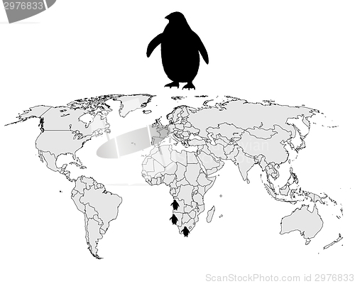 Image of African penguin range