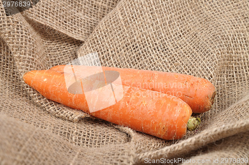 Image of Carrots on jute