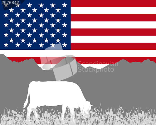 Image of Cow alp and flag of USA
