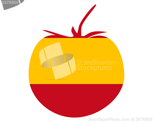 Image of Spanish tomato