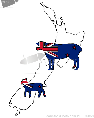 Image of Sheeps of New Zealand