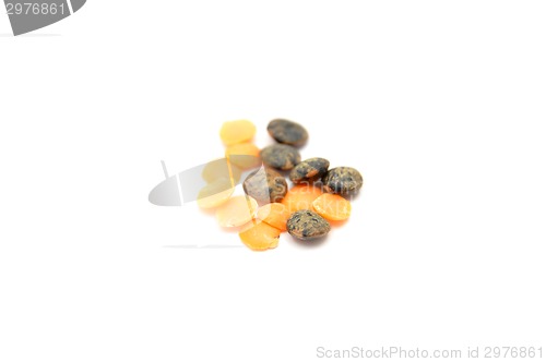 Image of Detailed but simple image of lentils on white 