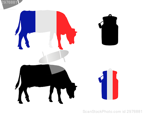 Image of French milk cow