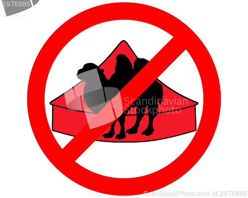Image of Bactrian Camel in circus prohibited