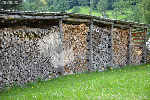 Image of Wood pile