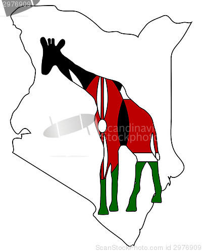 Image of Kenya giraffe