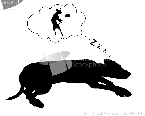 Image of Dog dreams
