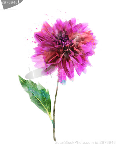 Image of Watercolor Image Of Pink Dahlia