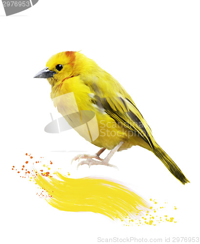 Image of Watercolor Image Of  Yellow Bird