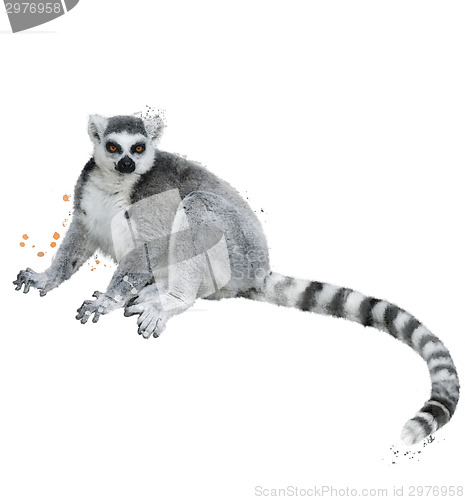 Image of Watercolor Image Of Ring-tailed Lemur