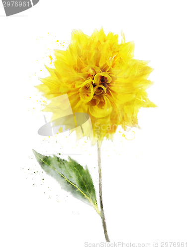 Image of Watercolor Image Of Yellow Dahlia