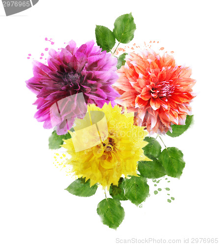 Image of Watercolor Image Of  Dahlia Flowers