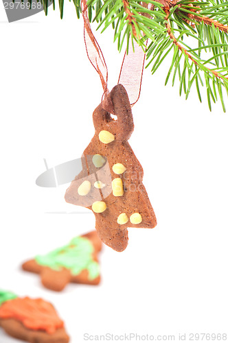 Image of Gingerbread cookie on christmas tree