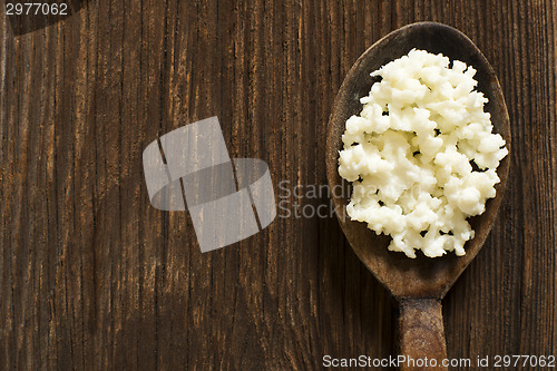 Image of Kefir grains