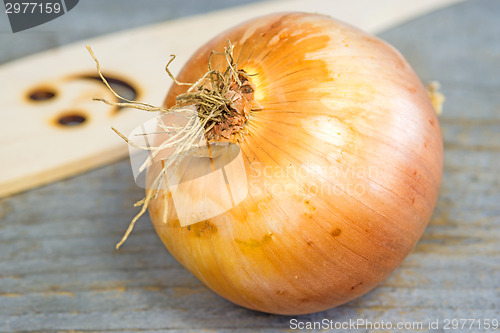 Image of onion on a plank
