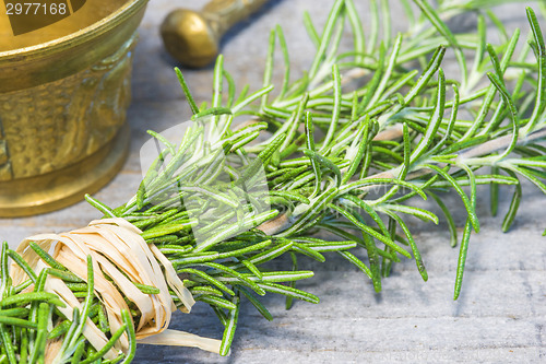 Image of rosemary with mortar