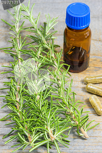 Image of rosemary with tincture
