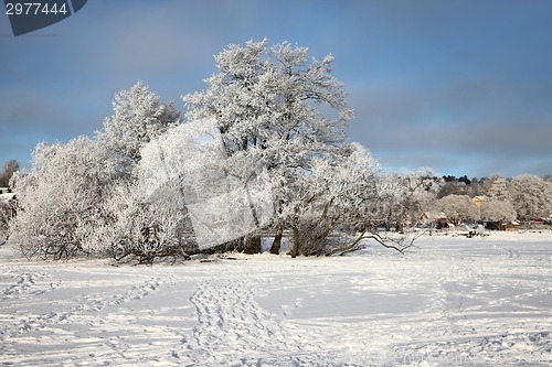 Image of Winter Park