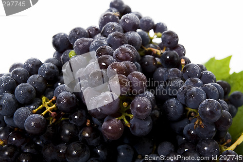 Image of Grape in basket