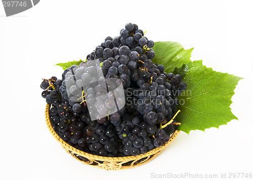 Image of Grape in basket