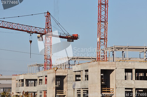 Image of Construction Cranes