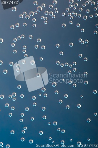 Image of Bubbles